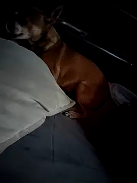 FloppyPickle4u online show from 02.28.25