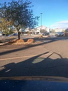 FloppyPickle4u online show from 09.09.25