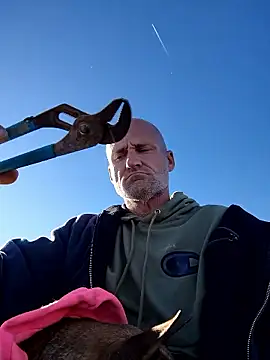 FloppyPickle4u online show from 01.10.26