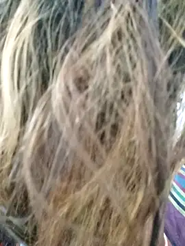 Snapshot of littlequeen77 chatting on 03.11.25 littlequeen77 online show from 03.11.25