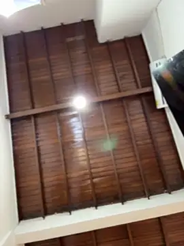 emiss  online show from 12.18.25