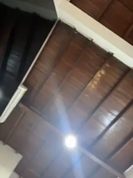 emiss  online show from 01.14.26