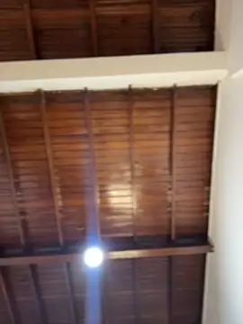 emiss  online show from 02.08.26