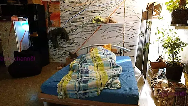 Snapshot of BongChannel chatting on 12.31.24 BongChannel online show from 12.31.24