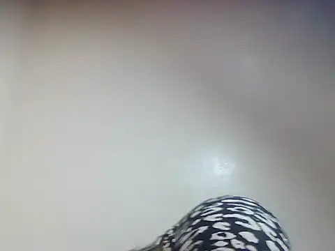 Snapshot of Creamy_candy17 chatting on 10.03.25 Creamy candy17 online show from 10.03.25