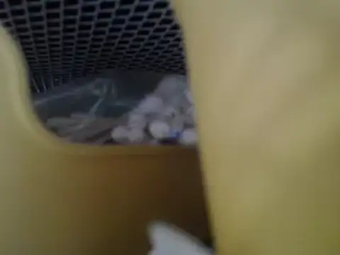 lovense test04 online show from 04.27.26