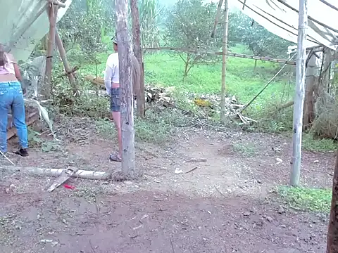 tayiro r online show from 11.15.25