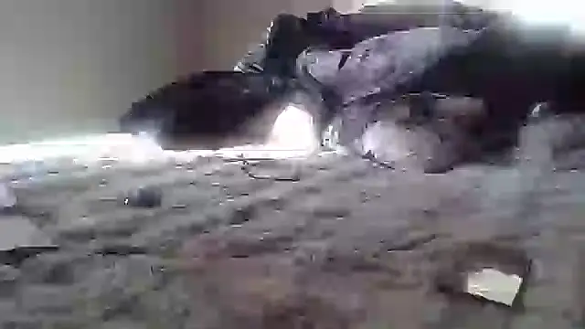 cassieleeknight11 online show from 01.17.25