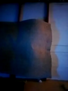 Snapshot of MrNymphoLonelySoulja chatting on 11.09.25 MrNymphoLonelySoulja online show from 11.09.25