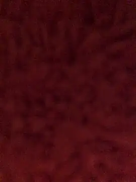 Kiss me2507 online show from 12.08.24