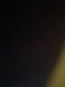 Kiss me2507 online show from 02.20.25