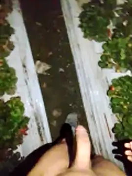 Snapshot of dfff125ff chatting on 11.13.25 dfff125ff online show from 11.13.25