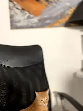ValerieHilton online show from 12.02.24