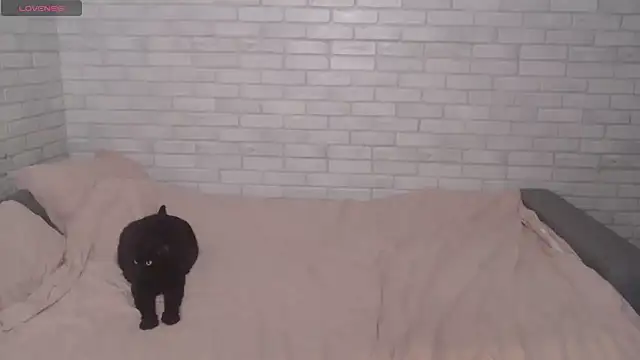 Fuckyoursecretary69 online show from 12.09.24