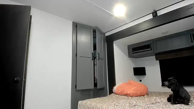 Persiasparadise online show from 02.16.26