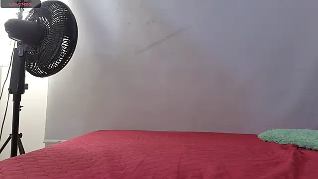 alissonandamy online show from 04.03.26