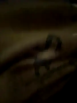 eveangelll online show from 10.21.25