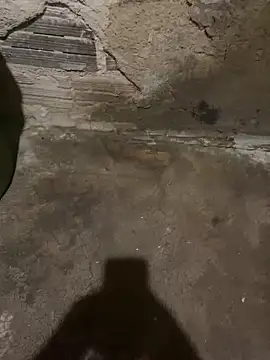 s1437jdjjddjjshbx online show from 02.24.25