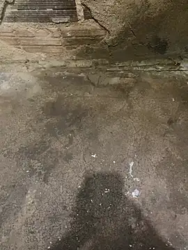 s1437jdjjddjjshbx online show from 03.08.25