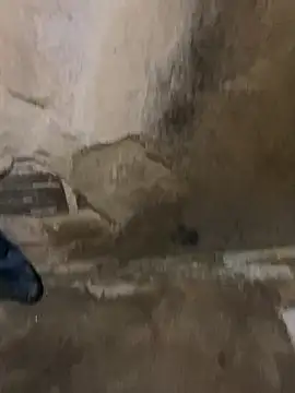 s1437jdjjddjjshbx online show from 03.09.25