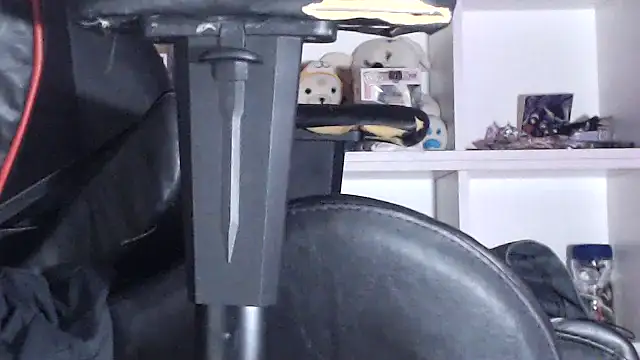 Snapshot of LapijARG7 chatting on 03.01.25 LapijARG7 online show from 03.01.25