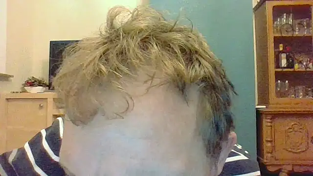 bertolini online show from 11.14.25