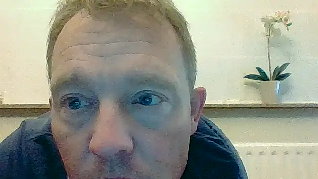 bertolini online show from 05.20.26