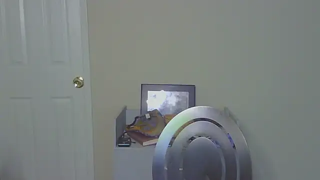 Snapshot of goddessdaisysky chatting on 10.10.25 goddessdaisysky online show from 10.10.25