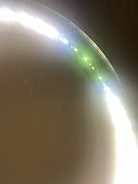 Snapshot of Ceyceys chatting on 01.02.25 Ceyceys online show from 01.02.25