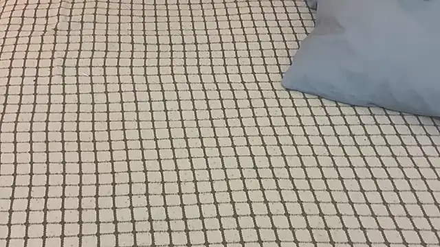 Snapshot of Ceyceys chatting on 10.19.25 Ceyceys online show from 10.19.25