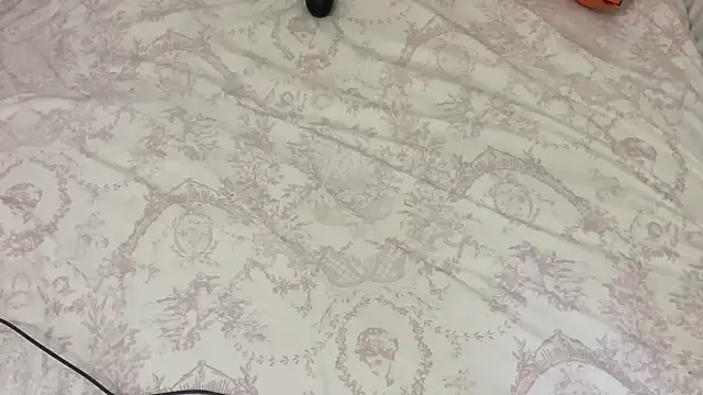 Snapshot of Ceyceys chatting on 11.11.25 Ceyceys online show from 11.11.25