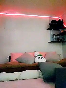 Paudelatorre online show from 02.08.26