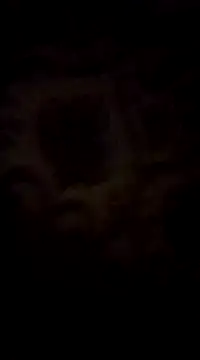 WreckedCrop online show from 03.02.25