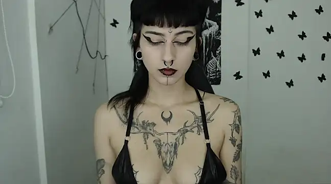 Snapshot of n0sferatus__ chatting on 02.14.25 n0sferatus   online show from 02.14.25
