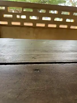 Black-mamba-madingo online show from 09.29.25