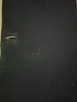 Black-mamba-madingo online show from 10.09.25