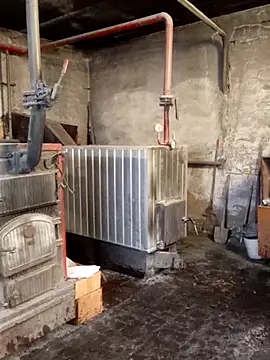 MityaXLoves online show from 10.07.25