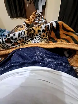 Snapshot of villagb12 chatting on 12.25.24 villagb12 online show from 12.25.24