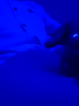 montereal1212 online show from 12.02.24