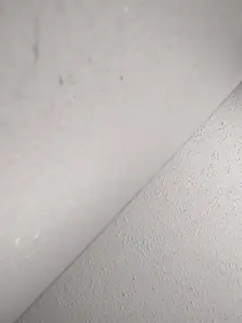 mastbacio online show from 11.20.25