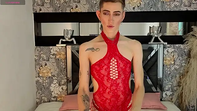 dominic thailor online show from 03.29.26