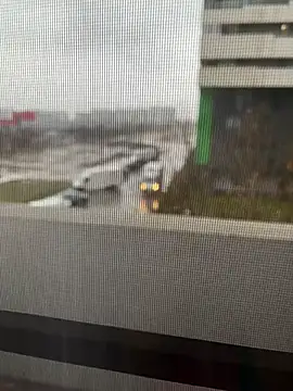 EmilyColle  online show from 12.24.24