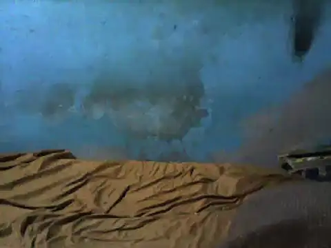 little  joy online show from 03.01.25