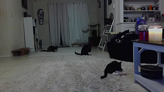 Snapshot of CrystalLakeXO chatting on 10.19.25 CrystalLakeXO online show from 10.19.25