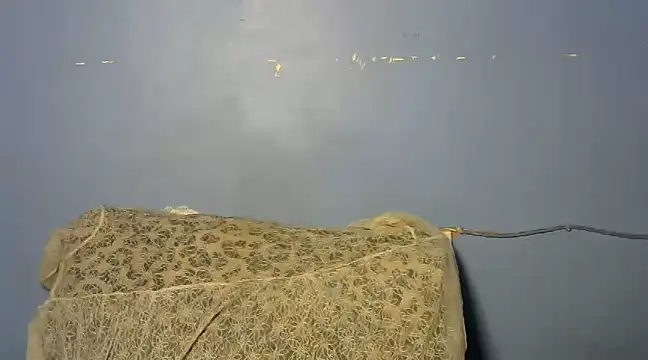 Snapshot of shishbabe chatting on 03.04.25 shishbabe online show from 03.04.25