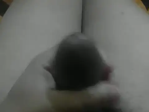 wixssam online show from 01.03.25