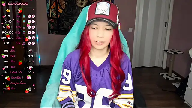 Project hisoka online show from 12.30.24