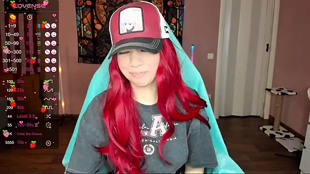 Project hisoka online show from 01.02.25