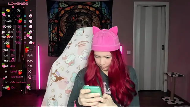 Project hisoka online show from 01.17.25