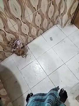 Snapshot of bas1cooks chatting on 09.30.25 bas1cooks online show from 09.30.25